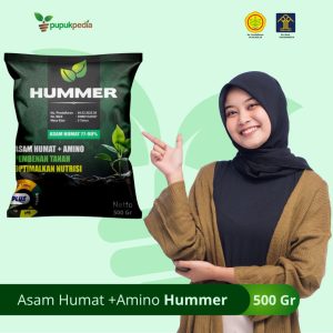 asam humat